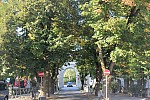 20130906_173934.JPG