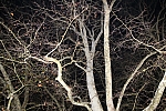 20131101_222027.JPG