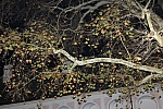 20131101_222049.JPG